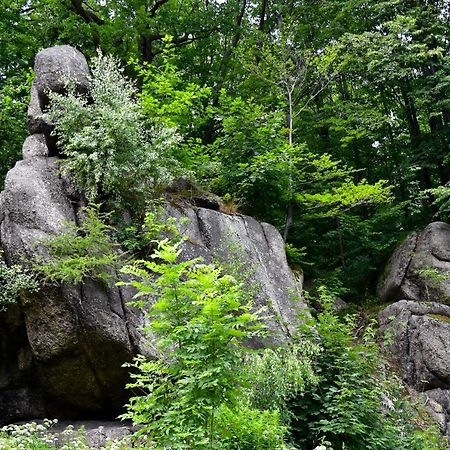 Wilcza Gajowka Villa Sosnówka Dış mekan fotoğraf