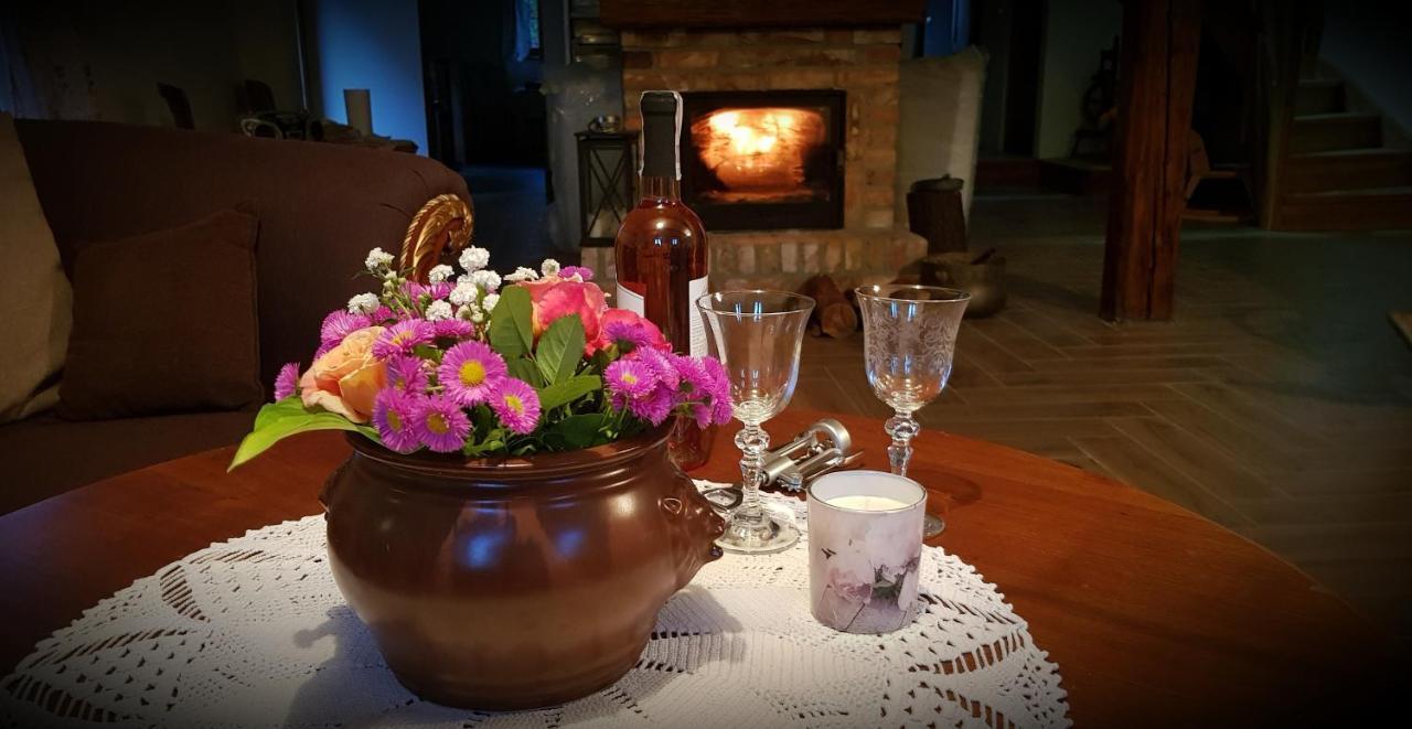 Wilcza Gajowka Villa Sosnówka Dış mekan fotoğraf