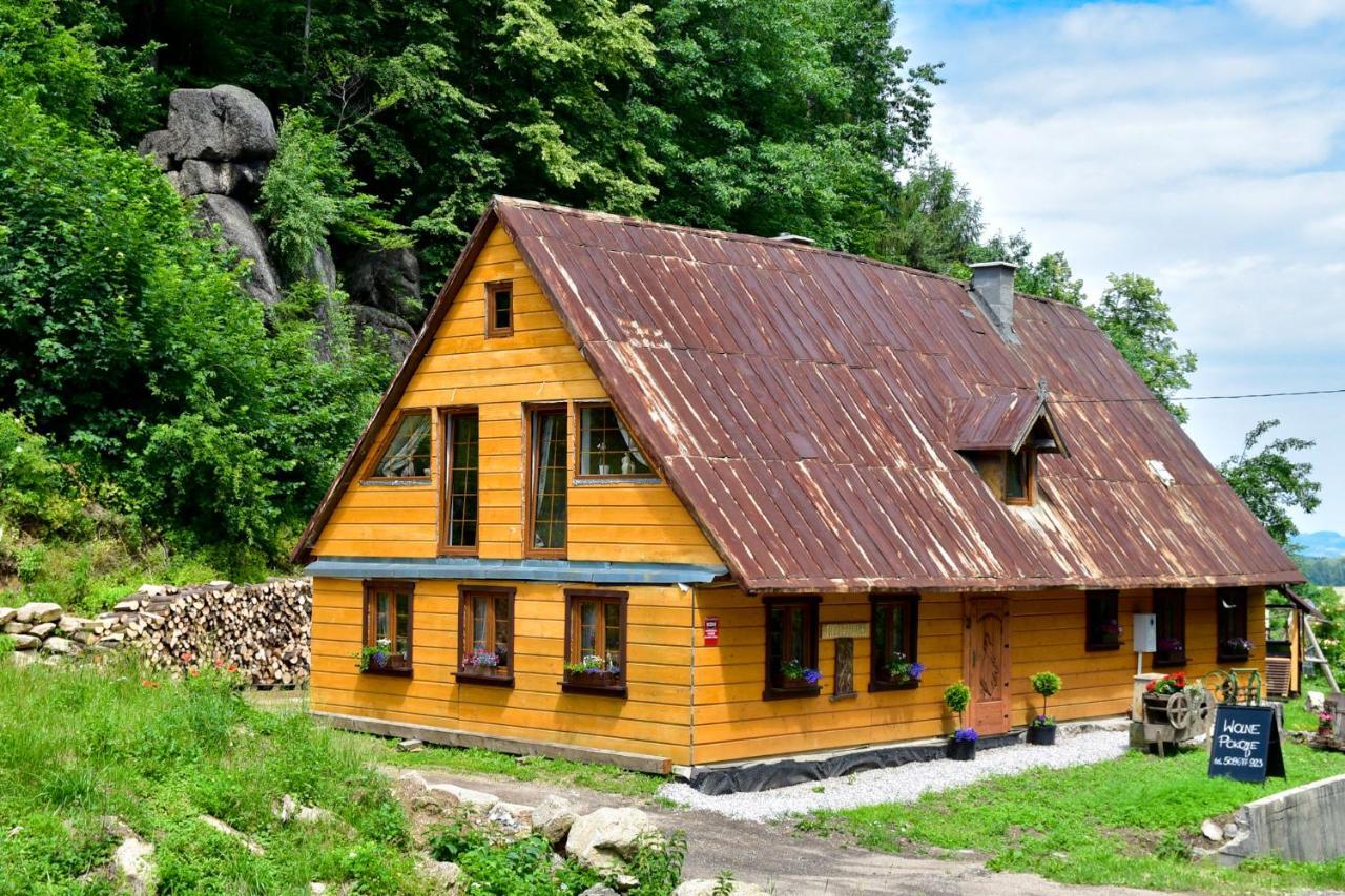 Wilcza Gajowka Villa Sosnówka Dış mekan fotoğraf